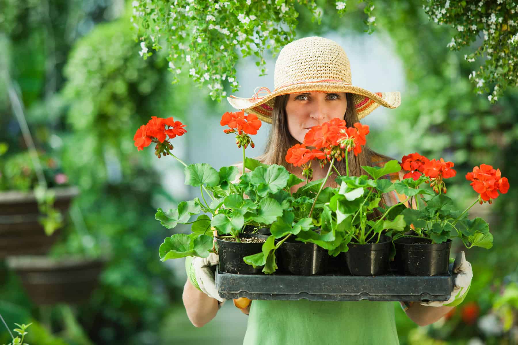 backyard greenhouse ideas