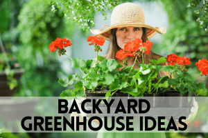 backyard greenhouse ideas backyard greenhouse ideas