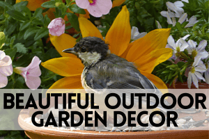 beautiful outdoor garden decor 
